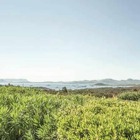 La Nicchia * Арцакена